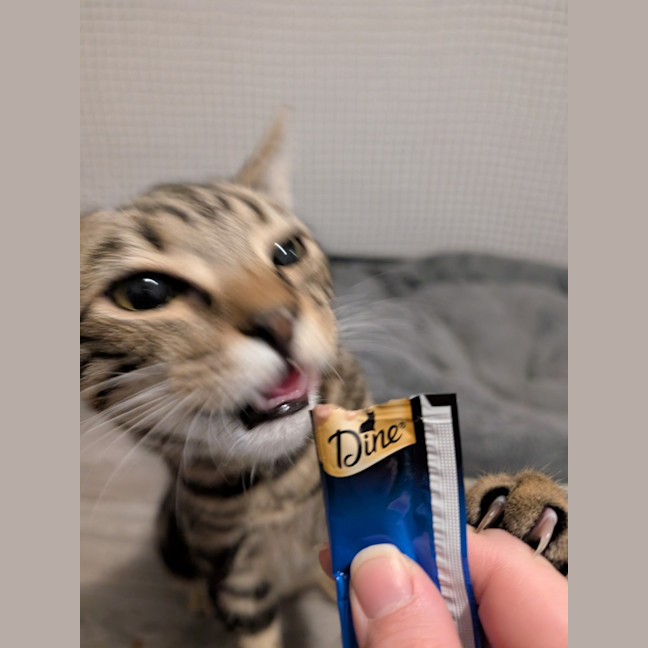 Photo of $180 Snuggles