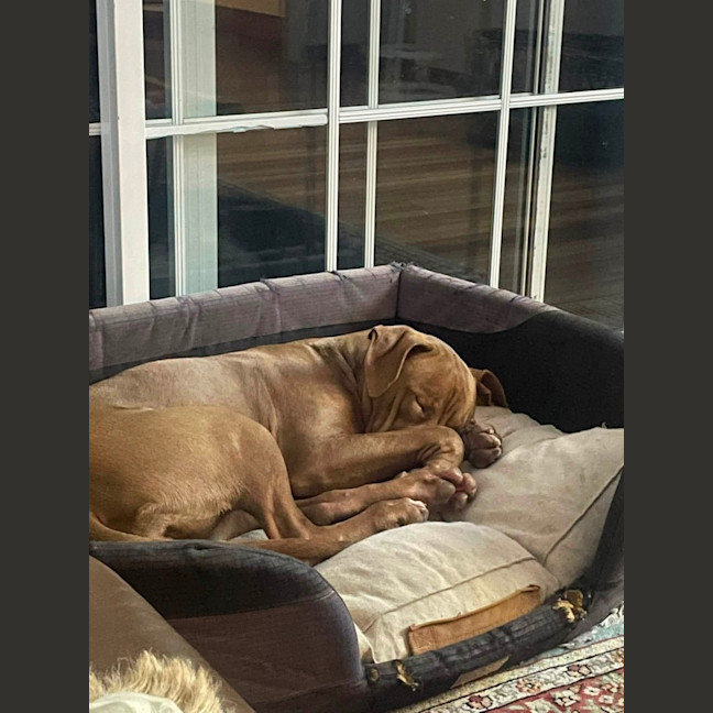 Photo of Tutu