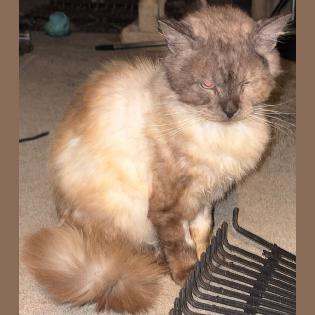 Photo of Busta