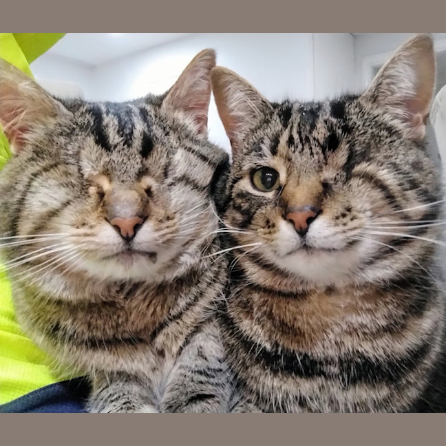 Photo of Seeker & Luna