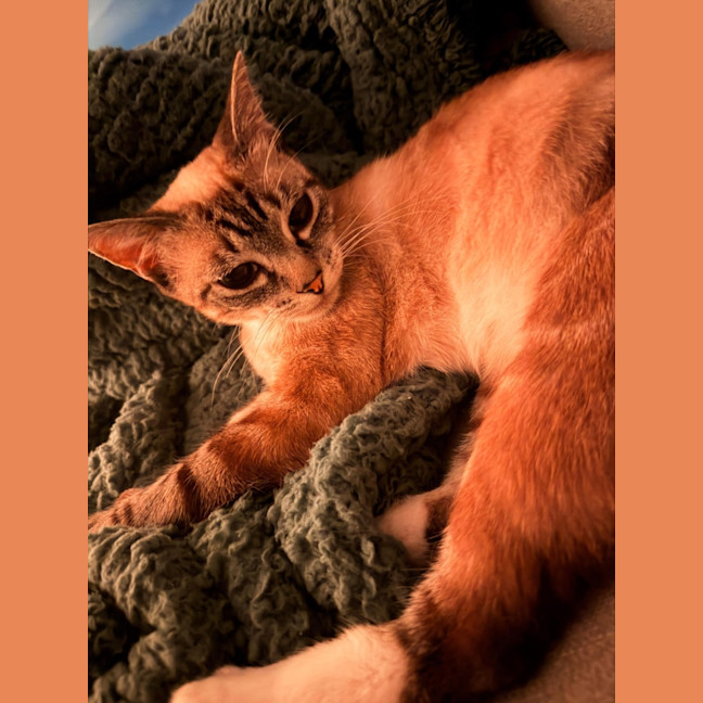 Photo of Pearl