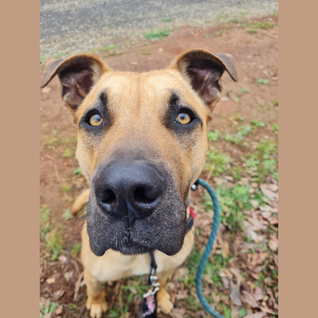 Photo of Maverick
