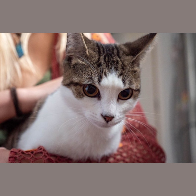 Photo of Penny & Essie 