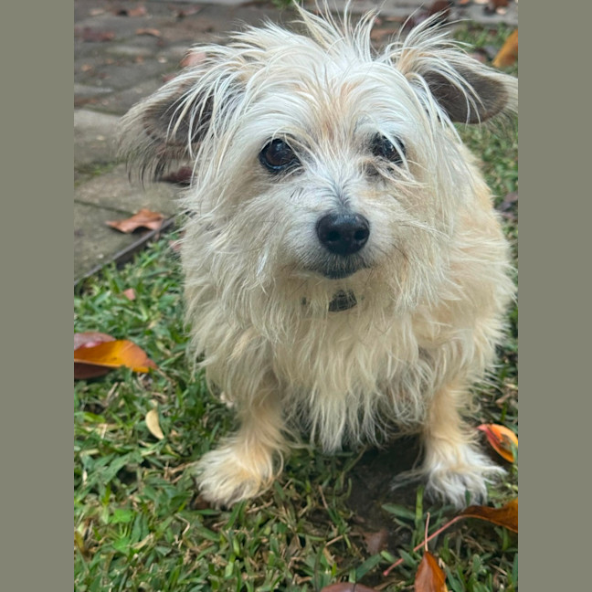 Photo of Megzee