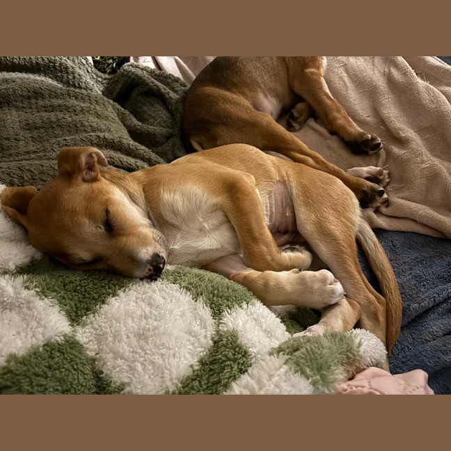 Photo of Oaties 