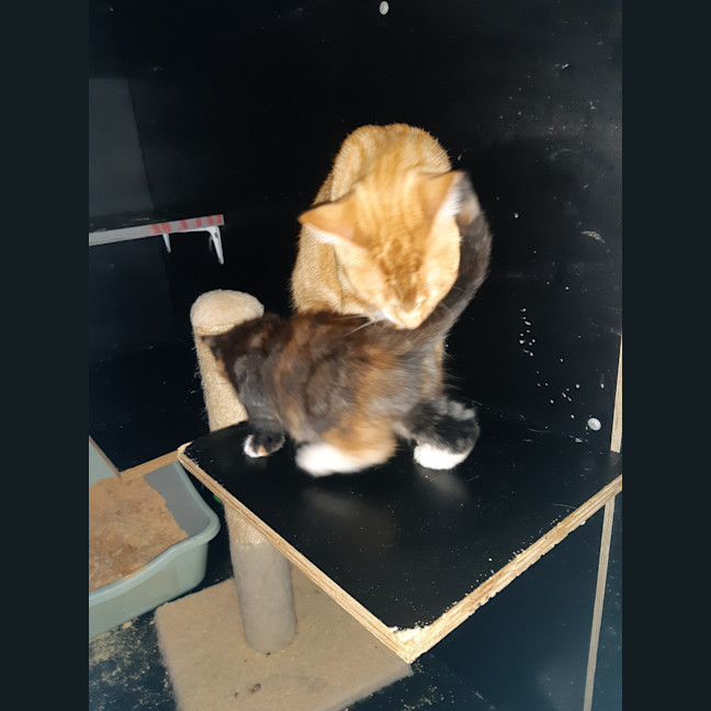 Photo of Purty&Precious