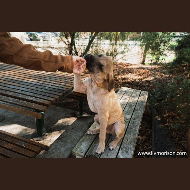 Photo of Liam O’cleary