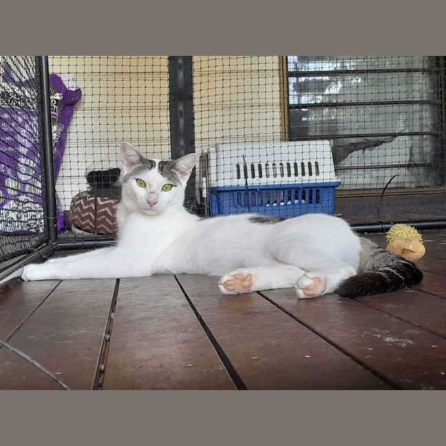 Photo of Mr Waffleton 