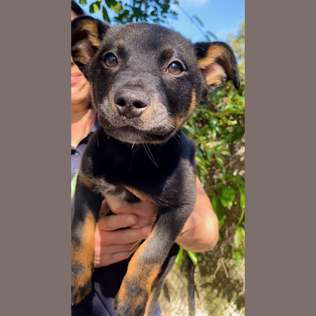 Photo of Hugo