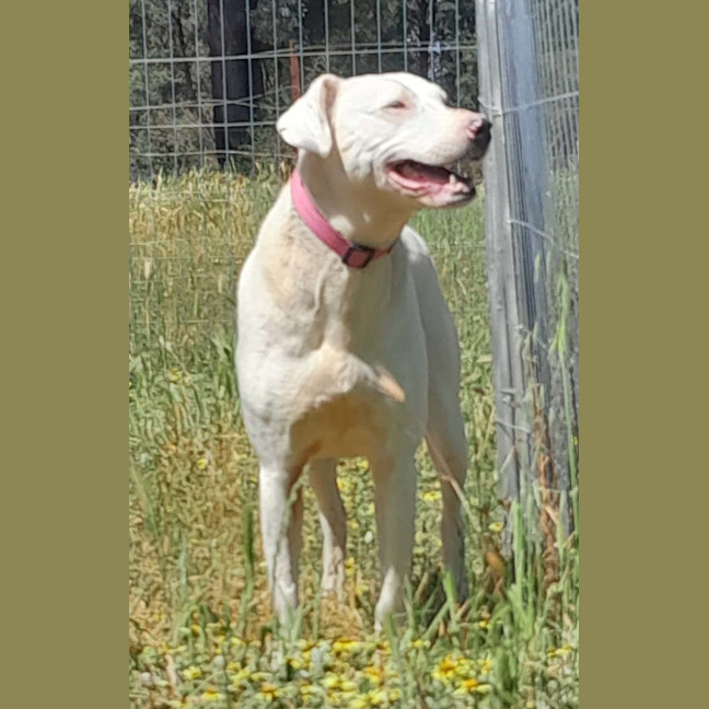 Photo of Cassie