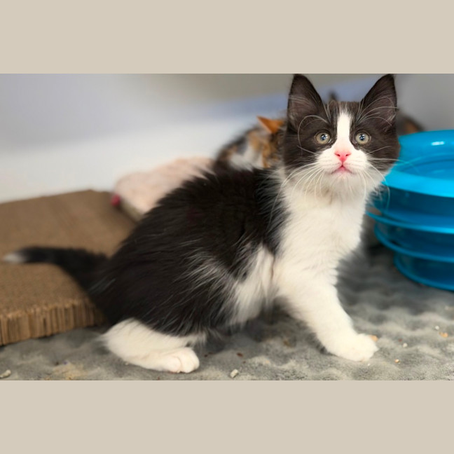 Photo of Wally