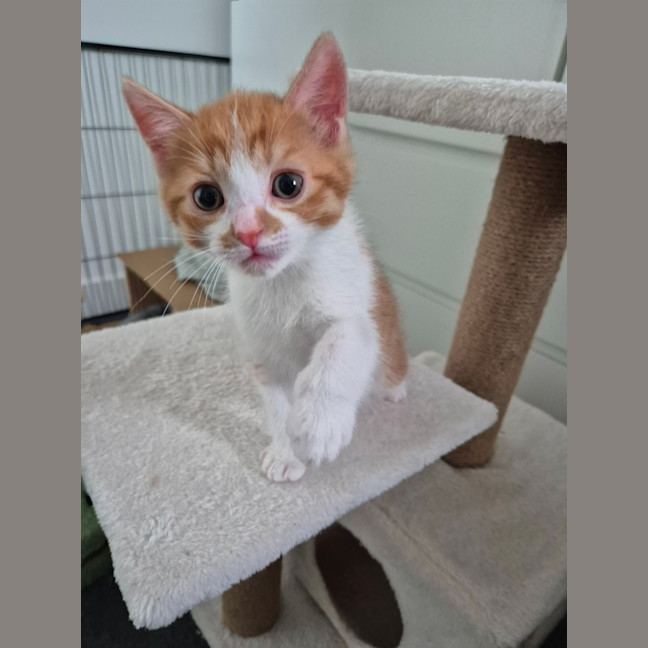 Photo of Jinkx Monsoon