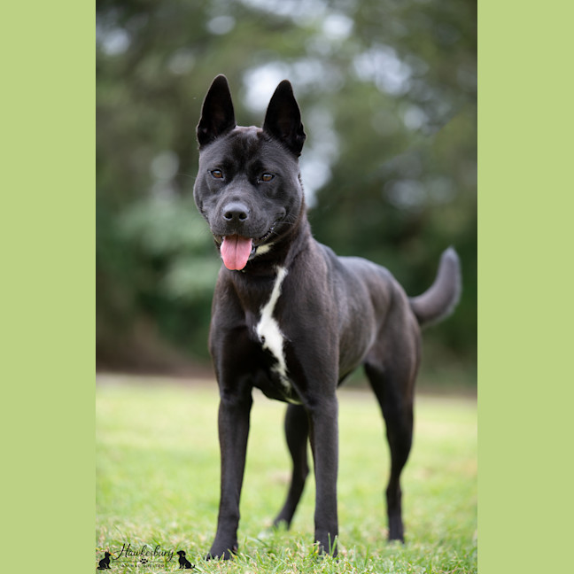 Photo of Lulu