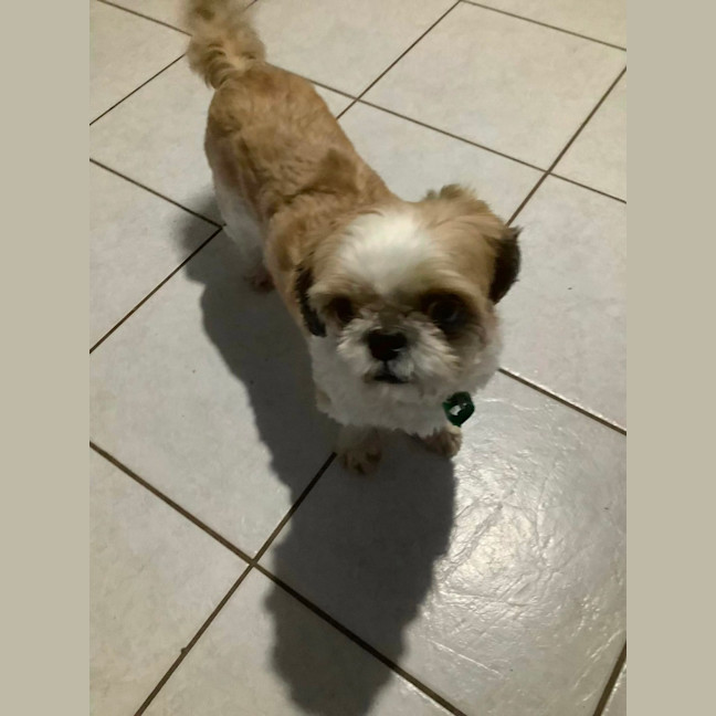 Photo of Chewy & Squiddley