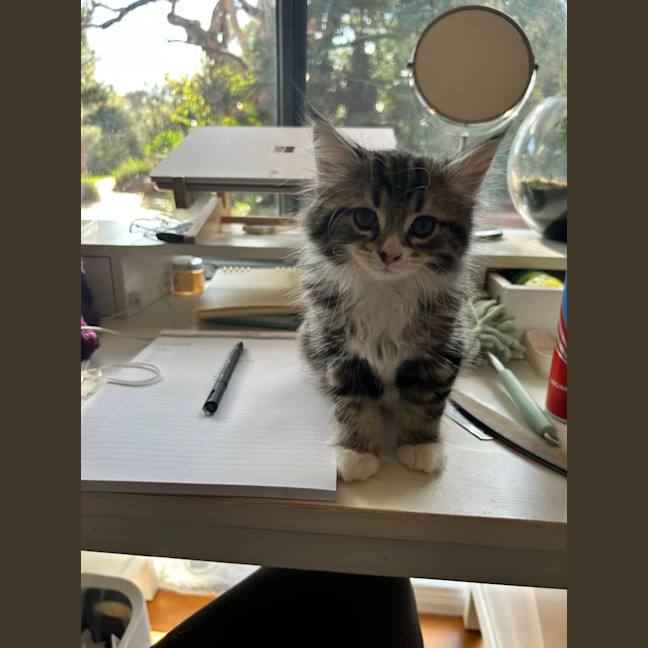 Photo of Alister   Located In Lower Plenty