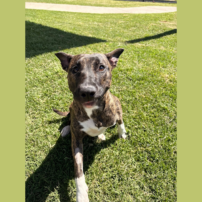 Photo of Lila 