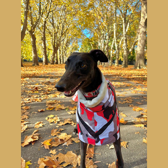 Photo of Ru