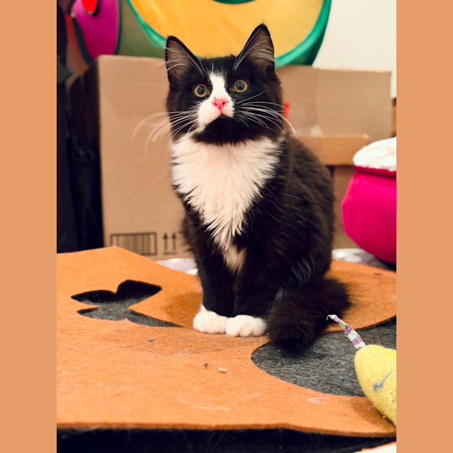 Photo of Olaf