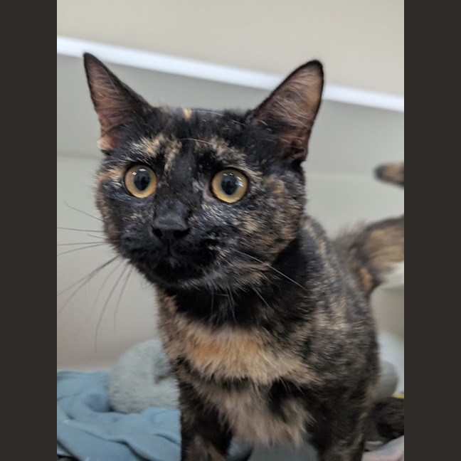 Photo of Agnes