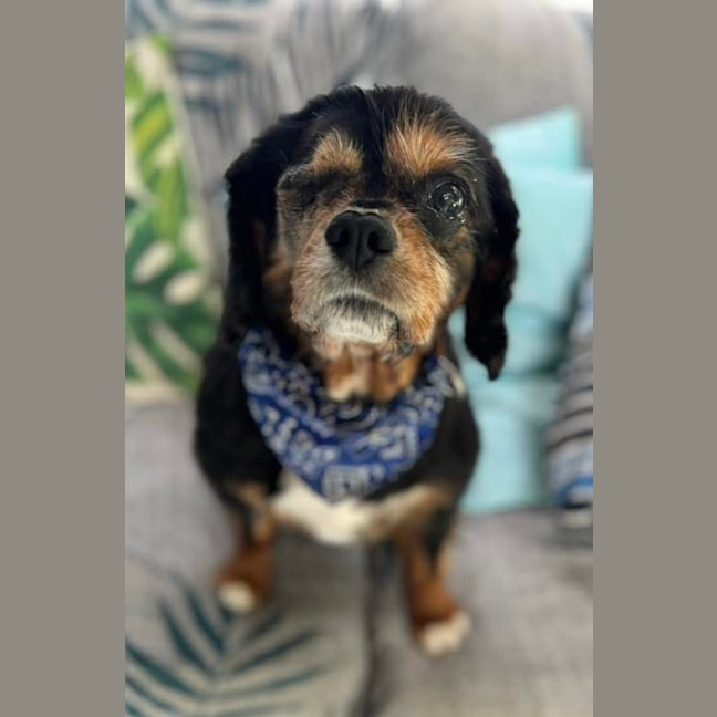 Photo of Marvin