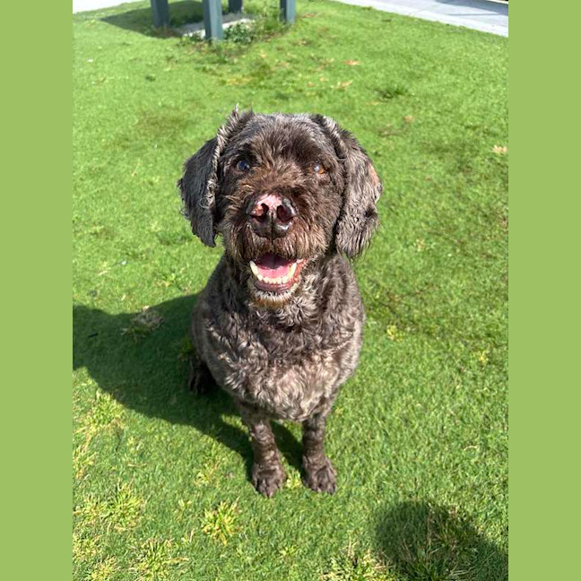 Photo of Bently