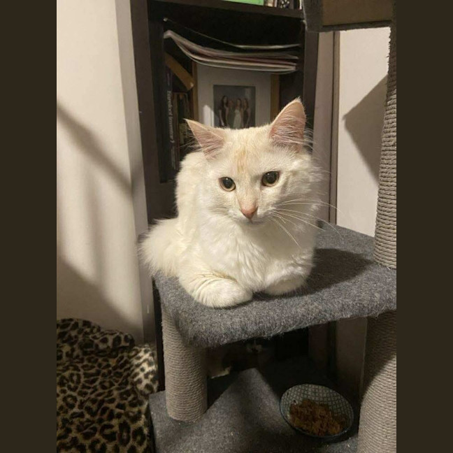 Photo of Mr Wimberley 