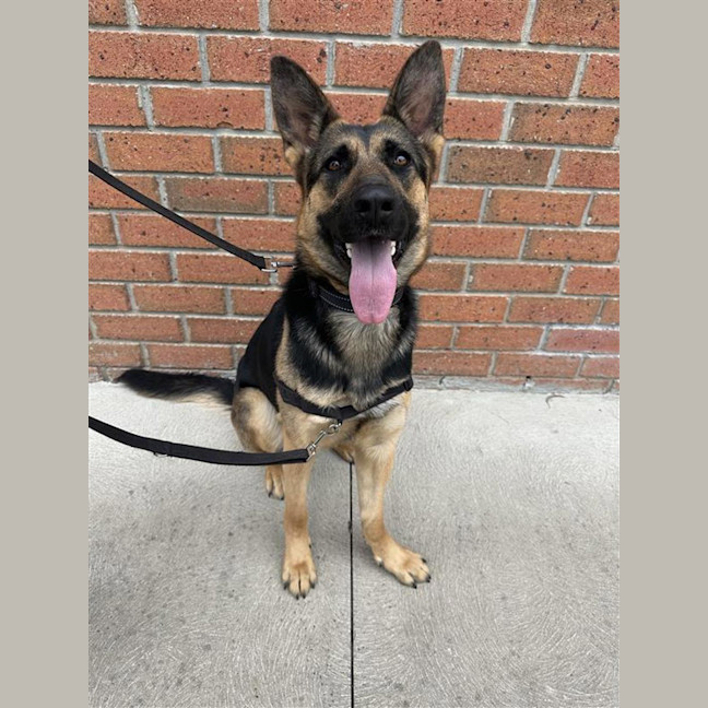 Photo of Trudy
