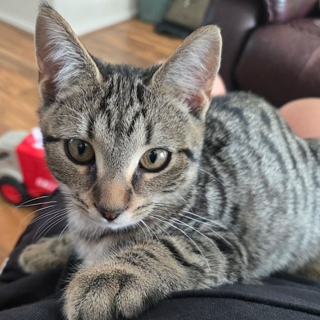 Photo of Tina