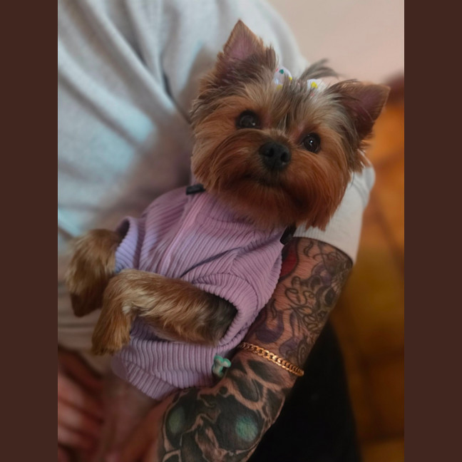 Photo of Molly