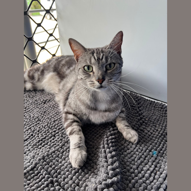 Photo of Missy