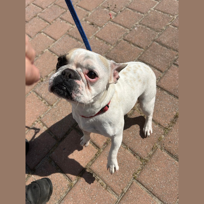 Photo of Bonnie