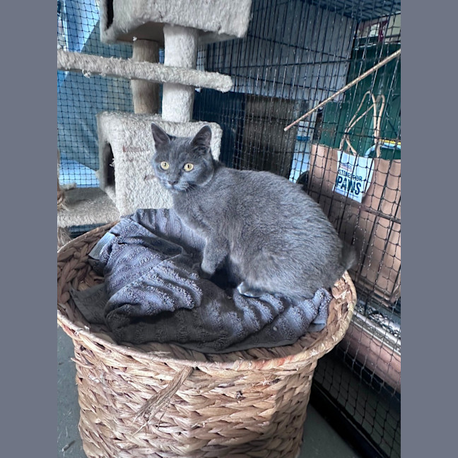 Photo of Victor 