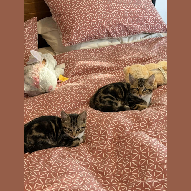 Photo of Tyrone & Miranda