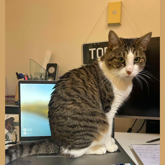 Photo of Lord Remington