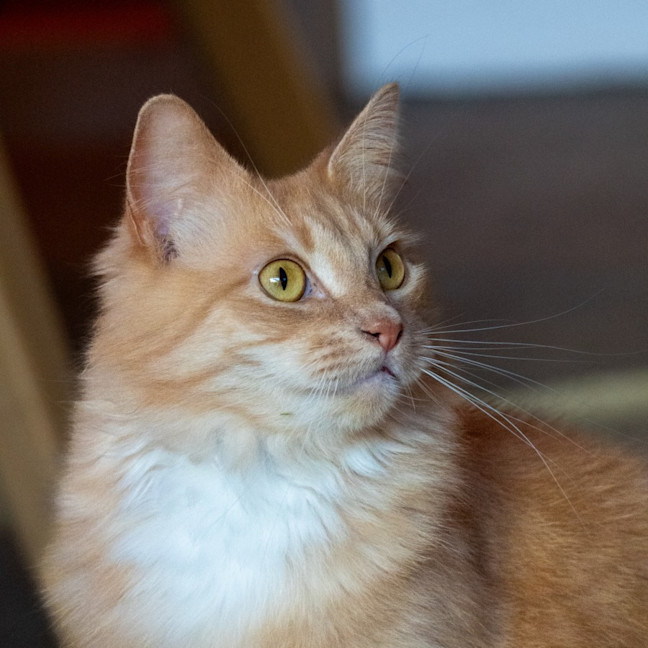 Photo of Sally & Denny