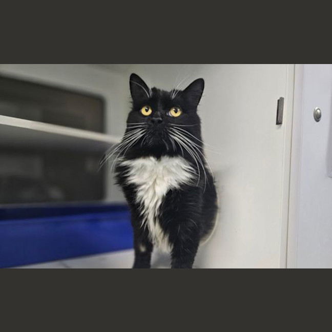 Photo of Sally