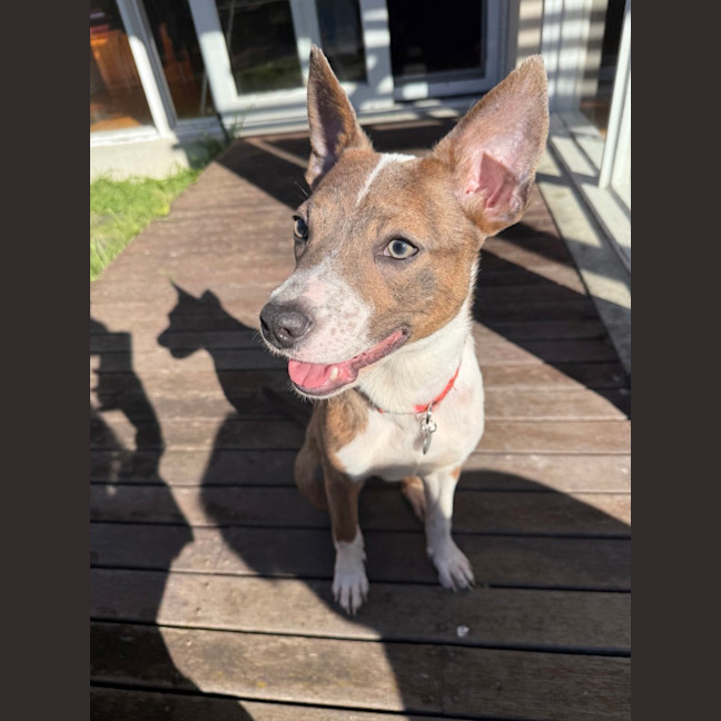 Photo of Bon Bon