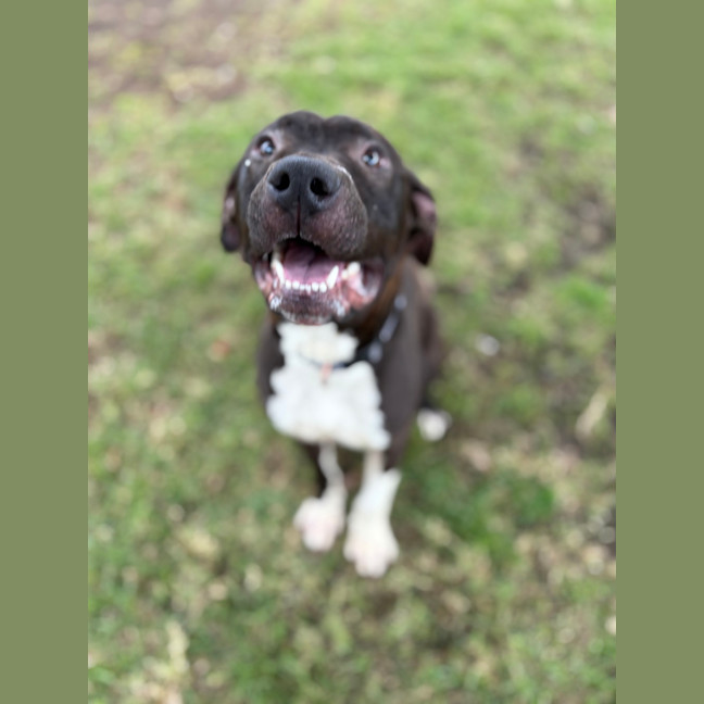 Photo of Socks