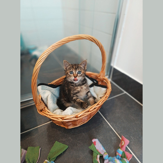 Photo of Holly Bloom