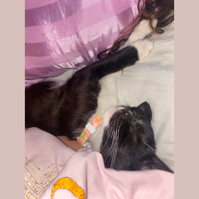 Photo of Maggie ‘Magpie’