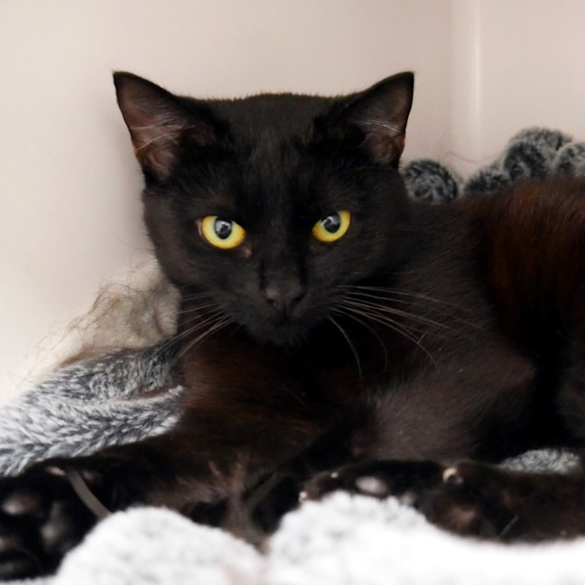 Photo of Buffy Sta013042