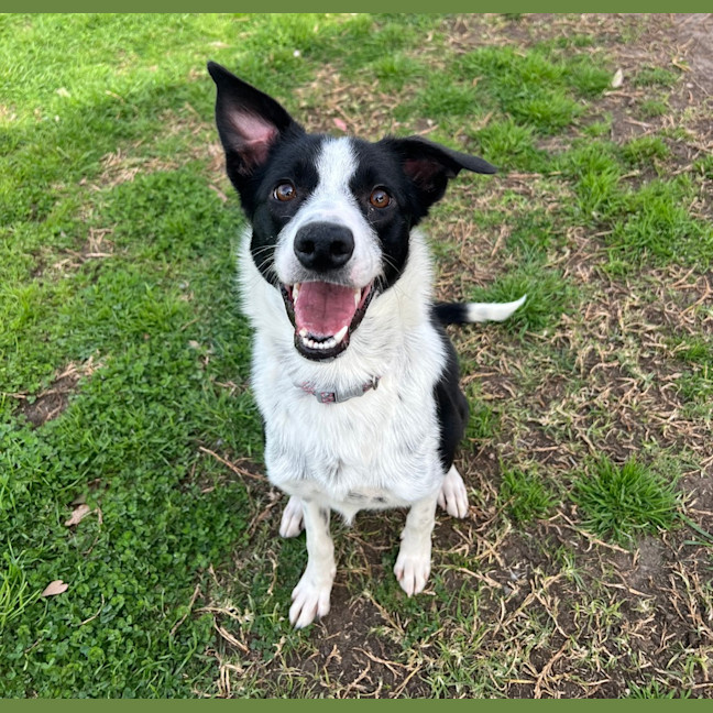 Photo of Maysie