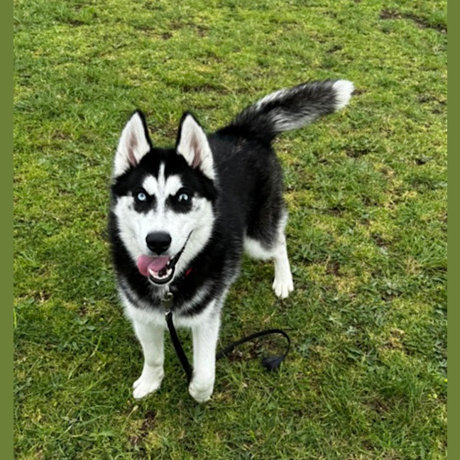 Photo of Batman (67246)