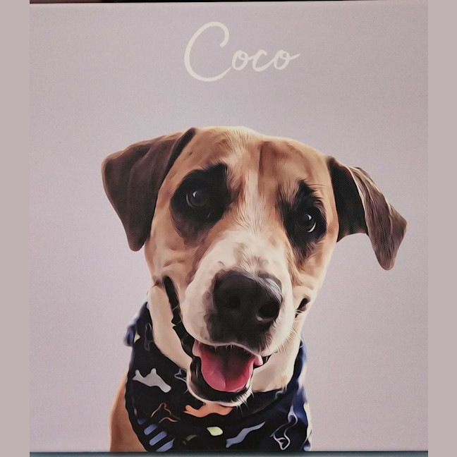 Photo of Coco