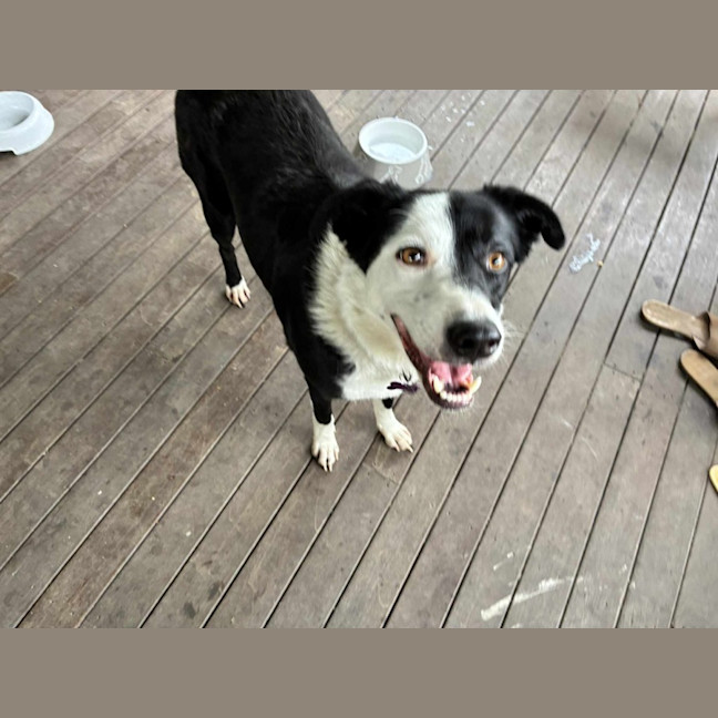 Photo of Lucy 