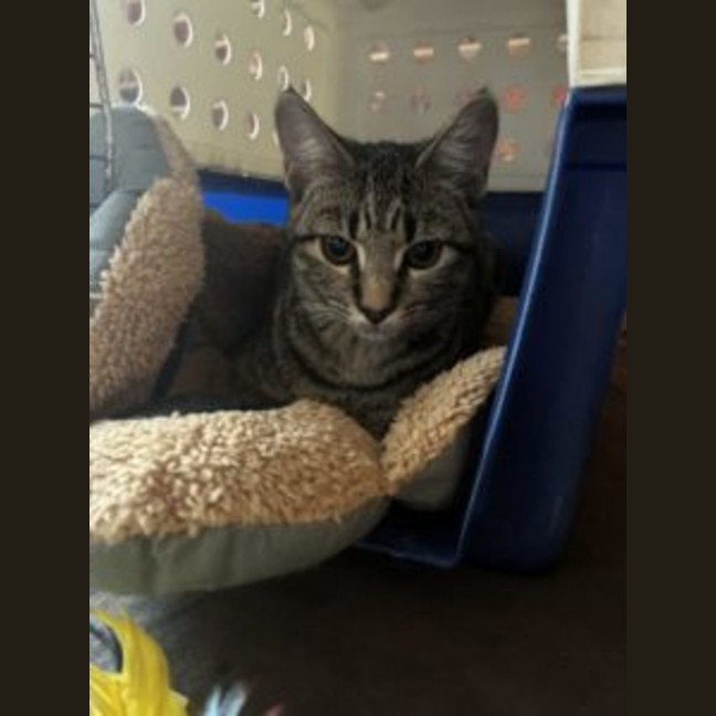 Photo of Hera