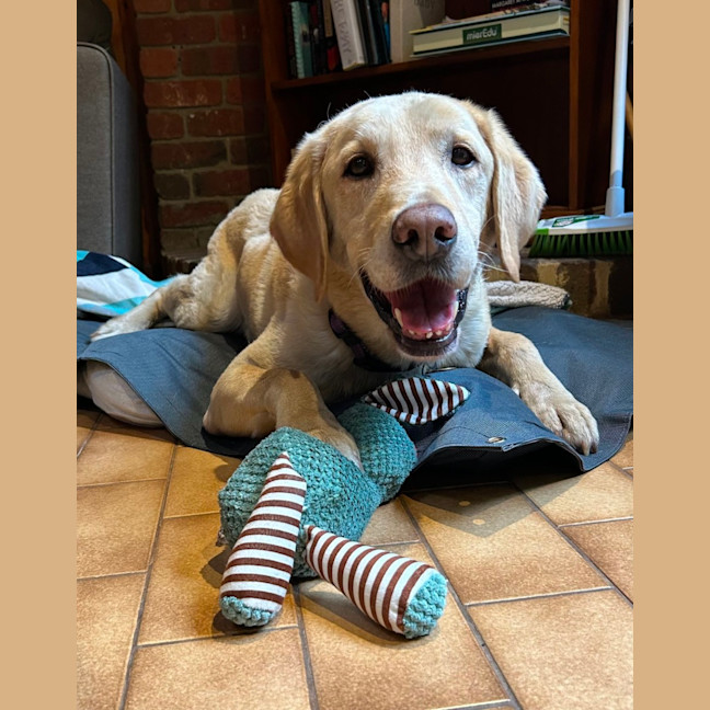 Photo of Cream Cheese