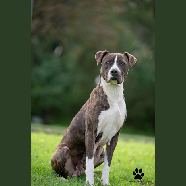 Photo of Sally