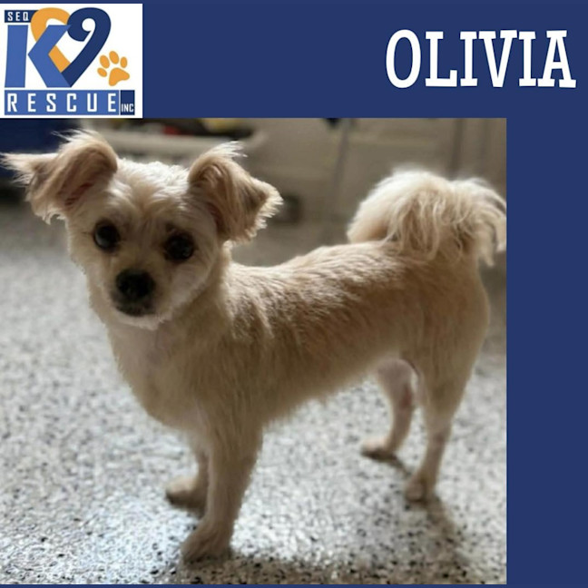 Photo of Olivia