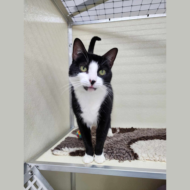 Photo of 💕 Yin 5660 💕